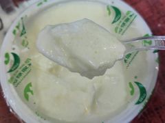 -德禄酸奶(莫家街店)