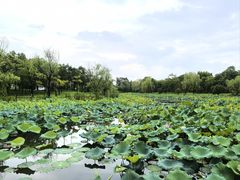 -仙山湖景区