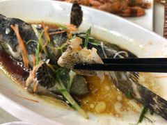 清蒸老虎斑-范饭椰林川湘味海鲜·椰子鸡(三亚湾椰梦长廊店)