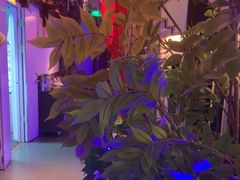 -庭院江南菜•烤鸭•非遗传承(丰台总部基地店)