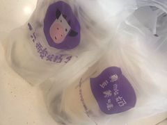 -一只酸奶牛(八一路店)