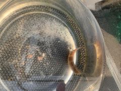 -小猫钓鱼海钓俱乐部(椰梦长廊店)