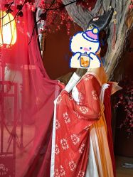 -盘子女人坊生日照·摄影馆(华强店)
