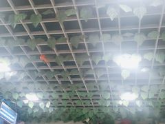 -成都冒菜四川一绝(景谷路店)