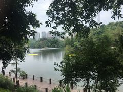 -重庆彩云湖湿地公园