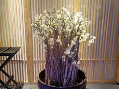-悦融·京鲁菜·露台花园(安定门店)