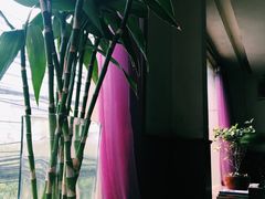 -云之南(八里庄店)