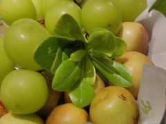 -季季山·云南野生菌火锅(上海首店)