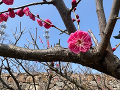 -南京市无想山景区