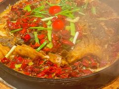 -老板恋上鱼(恒隆广场店)