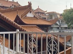 -深圳仙湖植物园