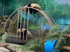 -杭州动物园