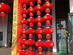 -长兴太湖图影湿地文化园
