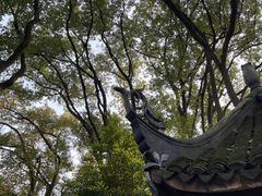 -上海醉白池公园