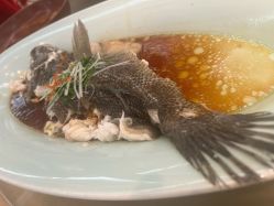 -天禧嘉福璞缇客酒店·宴会厅