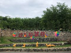 -欢乐松鼠谷