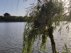 -凤城河风景区