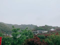 -四明山国家森林公园