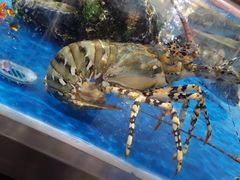 -盒马鲜生(莱蒙都会店)