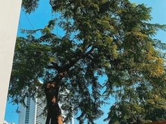 -尼依格罗香港美利酒店