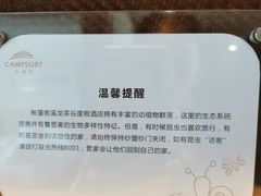 -帐篷客·溪龙茶谷度假酒店