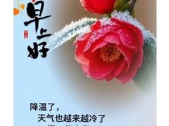 -侨飞羽毛球馆
