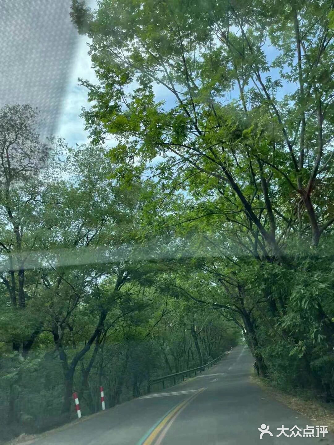 悠闲步伐，林中漫游