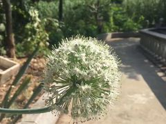 -龚家花园农家乐休闲别墅