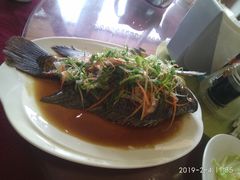 清蒸鱼-辽宁饺子馆