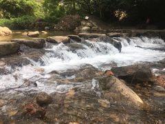 -广州市石门国家森林公园