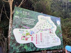 -野象谷景区
