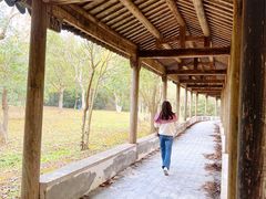 -上海海湾国家森林公园