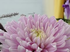 -喜鹊愉家酒店(郑州曼哈顿博览中心地铁站店)