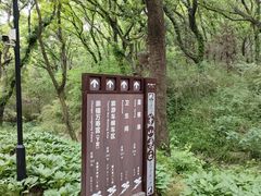 -句容茅山景区