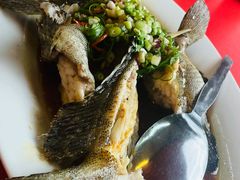 -大树下海鲜饭店