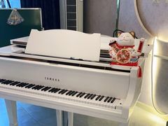 -乐尚音乐空间·钢琴·声乐·架子鼓(会展中心店)