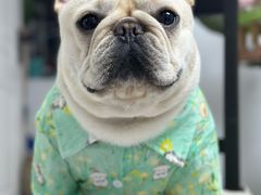 -爱侣宠医·鹦鹉专科·小型哺乳类·异宠专科(灵石路店)