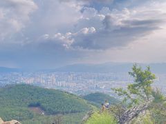 -长虫山生态公园风景林