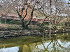 -冶父山国家森林公园