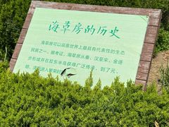 -烟墩角天鹅湖