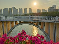 -厦门园林博览苑