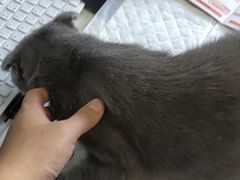 -瑞派福兴宠物医院犬猫全科·骨科·中西医结合(河东店)