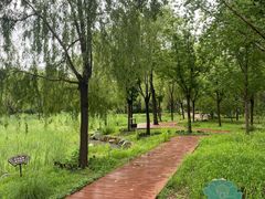 -莲花池公园