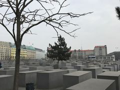 -欧洲被害犹太人纪念碑