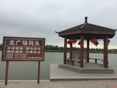 -南大港湿地风景区