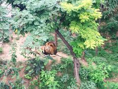 -石家庄市动物园