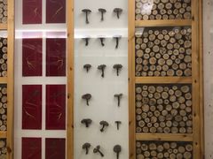 -纽斯洗浴SPA(三墩店)