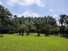 -华南国家植物园-售票处