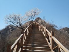 -大岭沟猕猴桃谷风景区
