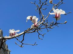 -东华门大街小区